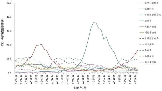 来_高峰_病毒_呼吸道AG真人app新冠又